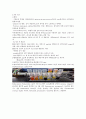 ★ 임상미생물학및실험 - 미생물보고서(MacConkey agar Test, TSl Test, API KIT, E- test) 3페이지