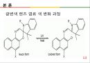 ★ 창업론 - 색이 변하는 콘택트 렌즈  13페이지