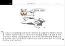 ★일본반려동물 보험시장 12페이지