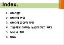 GMO란,GMO의 현황,GMO 논란,브랜드brand마케팅,서비스마케팅,글로벌경영,사례분석,swot,stp,4p 2페이지