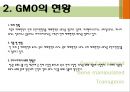 GMO란,GMO의 현황,GMO 논란,브랜드brand마케팅,서비스마케팅,글로벌경영,사례분석,swot,stp,4p 4페이지