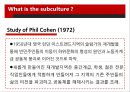 Subculture의 정의,Dick Hebdige의 Subculture의 해석,Subculture의 병합,Subculture의 스타일style과 상품화 4페이지