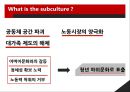 Subculture의 정의,Dick Hebdige의 Subculture의 해석,Subculture의 병합,Subculture의 스타일style과 상품화 6페이지