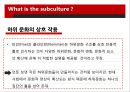 Subculture의 정의,Dick Hebdige의 Subculture의 해석,Subculture의 병합,Subculture의 스타일style과 상품화 10페이지