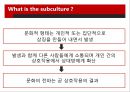 Subculture의 정의,Dick Hebdige의 Subculture의 해석,Subculture의 병합,Subculture의 스타일style과 상품화 11페이지