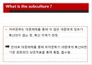 Subculture의 정의,Dick Hebdige의 Subculture의 해석,Subculture의 병합,Subculture의 스타일style과 상품화 12페이지