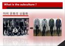 Subculture의 정의,Dick Hebdige의 Subculture의 해석,Subculture의 병합,Subculture의 스타일style과 상품화 13페이지