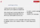 샤오미 기업분석 (기업분석, 제품분석, 성공요인, 미래가치) 24페이지