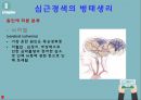 심근경색 간호과정 문헌고찰 정의 병태생리 치료 간호 간호과정 3개 8페이지