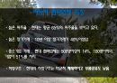 현대자동차 소개 및 협력업체 12페이지