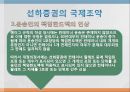 선하증권의 종류와 국제조약 21페이지