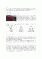 화학chemistry 리포트-화학 탄소 2페이지