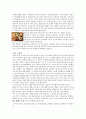 프랑스France 문화 레포트-해외 여행에서 가장 가고싶은 프랑스에 대하여 조사 2페이지