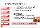 한국기업의 중국 및 일본시장 진출 사례 16페이지