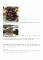 cafe 사업계획서 6페이지