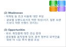 아모레 퍼시픽의 중국진출 성공사례 12페이지