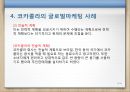글로벌 마케팅 계획 11페이지