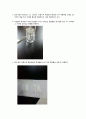 일반一般생물학 및 실험 레포트(TLC실험)  3페이지
