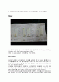 일반一般생물학 및 실험 레포트(TLC실험)  4페이지