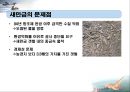 새만금, 시화테크노밸리, 화용호 5페이지
