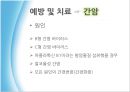 생활습관병 암 [간암, 위암, 폐암, 유방암, 대장암, 간암 예방과 치료] 3페이지