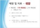 생활습관병 암 [간암, 위암, 폐암, 유방암, 대장암, 간암 예방과 치료] 12페이지