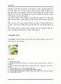 일본 라멘  9페이지
