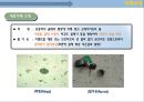 한중콘크리트의 이해 43페이지