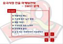 BBQ치킨의 중국 및 스페인 진출전략 11페이지