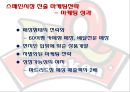 BBQ치킨의 중국 및 스페인 진출전략 28페이지