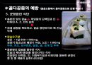 골다공증의 예방과 치료 8페이지