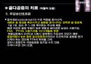 골다공증의 예방과 치료 18페이지