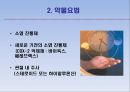 관절염의 예방과 치료 11페이지