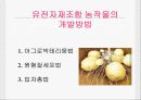 유전자 조작식물 6페이지