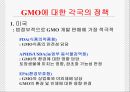 유전자 조작식물 19페이지