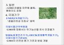 유전자 조작식물 21페이지