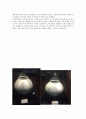 세계 문화유적과 발굴 REPORT
 3페이지