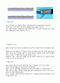 수영水泳 레포트-수영법과 효과 3페이지
