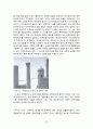 실크로드Silk Road 레포트  23페이지