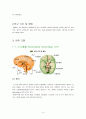 [성인간호학] 뇌출혈(ICH) case study 3페이지