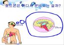 2차성징에 따른 신체변화 ppt 7페이지