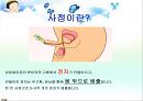 2차성징에 따른 신체변화 ppt 11페이지