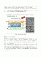 Multi-scale-architectured Thin-film-base Solid Oxide Fuel Cell 2페이지