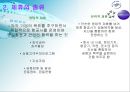항공사의 전략적 제휴사례 4페이지