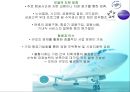 항공사의 전략적 제휴사례 8페이지