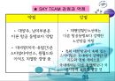 항공사의 전략적 제휴사례 13페이지
