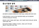 중소기업의 문제점 및 육성책과 사례 6페이지