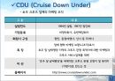 호주크루즈시장 정책과 전망 19페이지