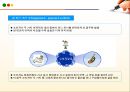 소비자 정보처리 분석과 의사결정과정 24페이지