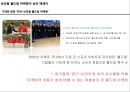 브라질월드컵 마케팅 성공, 실패 사례분석 26페이지
